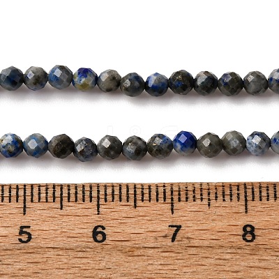 Natural Lapis Lazuli Beads Strands G-L629-B01-3mm-04-1