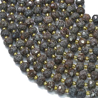 Natural Snowflake Obsidian Beads Strands G-K389-E32-01-1