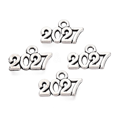 New Year's Day Tibetan Style Alloy Charms FIND-N014-01AS-1