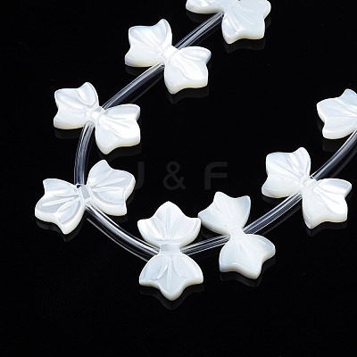 Natural White Shelll Beads Strands SSHEL-S278-123B-1