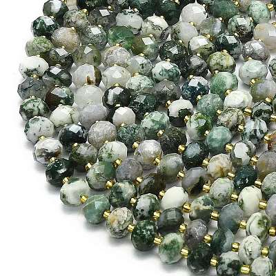 Natural Tree Agate Beads Strands G-P573-A17-01-1