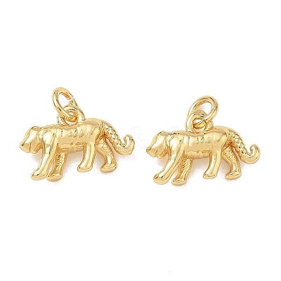 Brass Charms KK-D289-34C-G-1