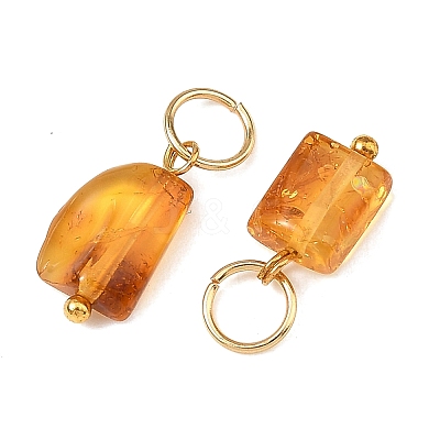 Natural Amber Pendants PALLOY-JF06049-1