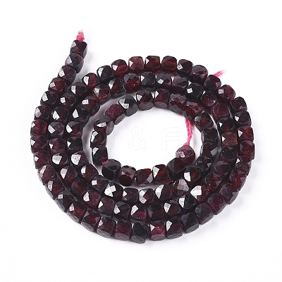 Natural Garnet Beads Strands G-L537-007-1