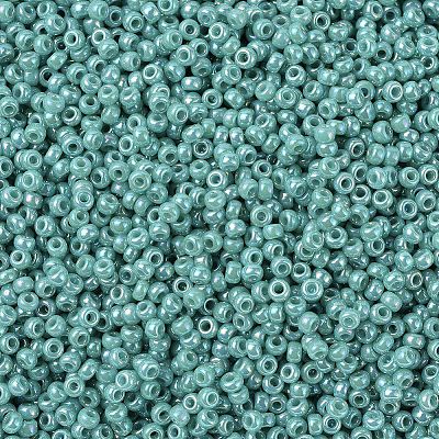 MIYUKI Round Rocailles Beads SEED-G007-RR0481-1