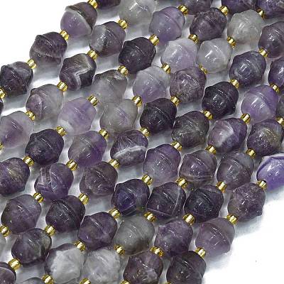 Natural Amethyst Beads Strands G-K389-D29-01-1