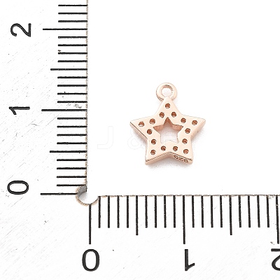 925 Sterling Silver Micro Pave Clear Cubic Zirconia Charms STER-A034-02C-RG-1