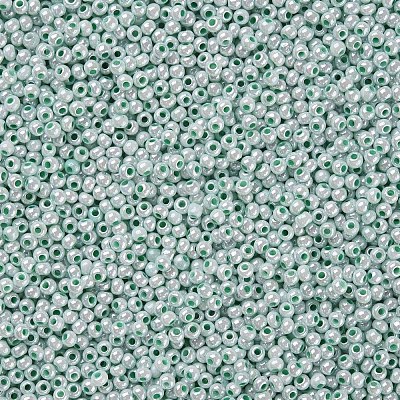 11/0 FGB Grade A Round Glass Seed Beads SEED-N001-B-0487-1