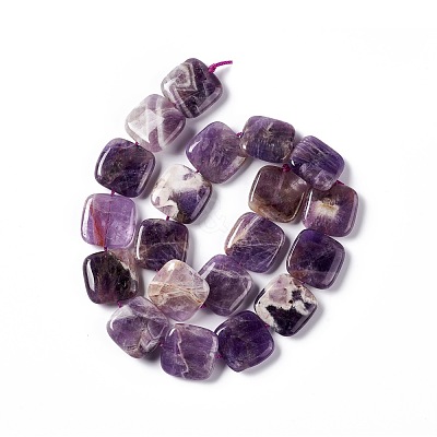 Natural Amethyst Beads Strands G-L253-11-1