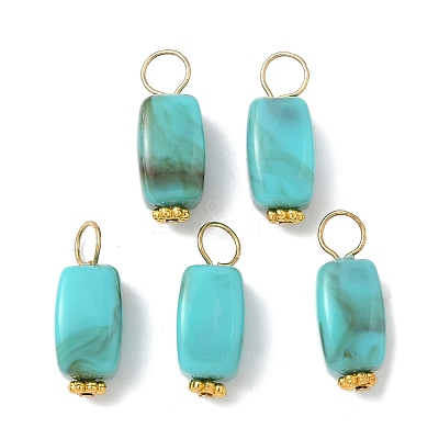 Opaque Acrylic Pendants PALLOY-JF04023-1