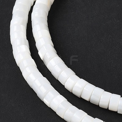 Natural Freshwater Shell Beads Strands X-SSHEL-C013-04B-1
