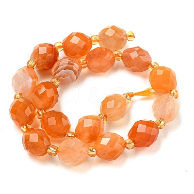 Natural Orange Botswana Agate Beads Strands G-N342-45-1