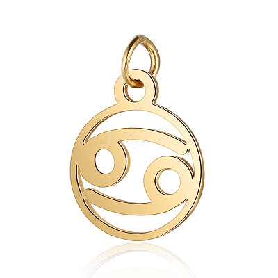 201 Stainless Steel Charms STAS-T036-T513-4-1