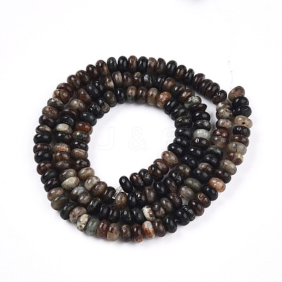 Natural Biotite Beads Strands G-T140-69B-1