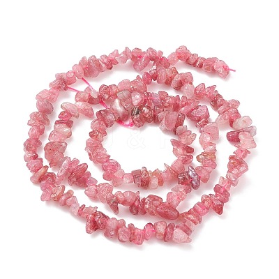 Chips Natural Red Tourmaline Beads Strands G-N0164-29-1