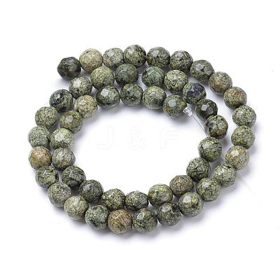 Natural Serpentine/Green Lace Stone Bead Strands G-R411-11-6mm-1