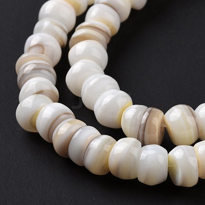 Natural Cultured Freshwater Shell Beads Strands SHEL-F002-01D-1
