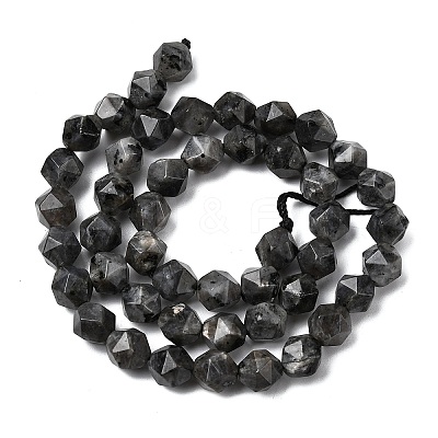 Natural Larvikite Beads Strands G-Z119-A32-02-1