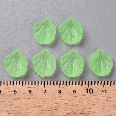 Transparent Frosted Acrylic Pendants MACR-S371-01A-733-1