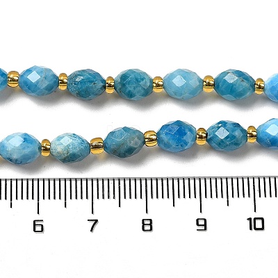 Natural Apatite Beads Strands G-H297-C03-01-1