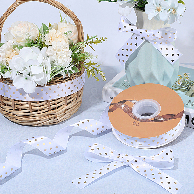 Polyester Ribbon OCOR-WH20816-012B-1