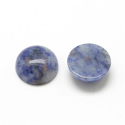 Natural Blue Spot Jasper Cabochons G-R416-20mm-45-1