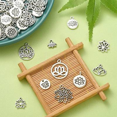 100Pcs 10 Styles Tibetan Style Alloy Charms TIBEP-CJ0002-34-1