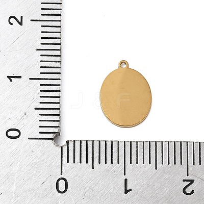 304 Stainless Steel Enamel Charms LS-STAS-K312-07A-G-1