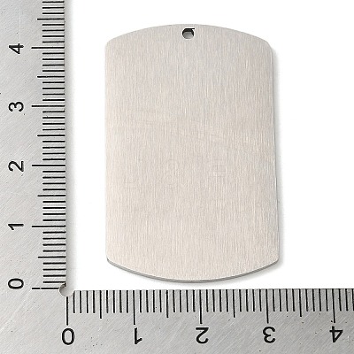 Non-Tarnish 304 Stainless Steel Pendants STAS-C098-01F-P-1