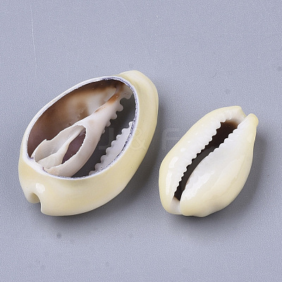 Natural Cowrie Shell Beads X-SSHEL-N034-28-1