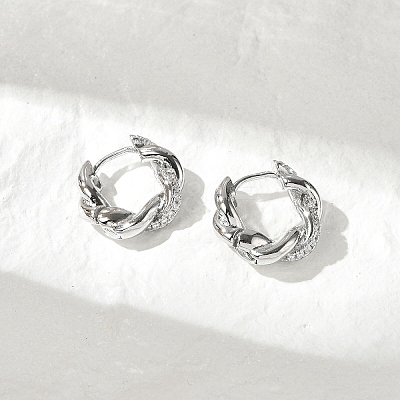 Brass Clear Cubic Zirconia Hoop Earrings EJEW-Q014-29P-1