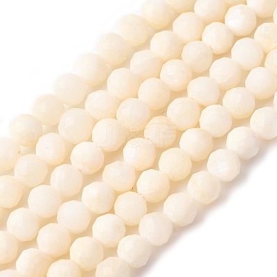 Shell Beads Strands SSHEL-E571-38-4mm-01-1