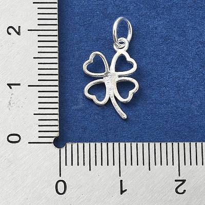 925 Sterling Silver Charms STER-M119-12S-1