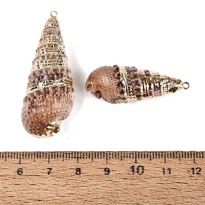 Electroplate Natural Spiral Shell Pendants SSHEL-Q100-33KCG-1