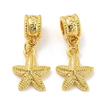 Tibetan Style Alloy European Dangle Charms PALLOY-F199-41G-1