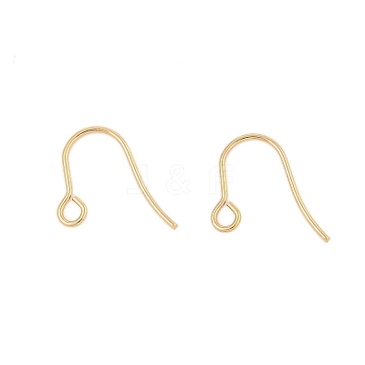 316 Surgical Stainless Steel Earring Hooks LS-STAS-A056-11G-B-1