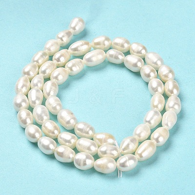 Natural Cultured Freshwater Pearl Beads Strands PEAR-E016-169-1