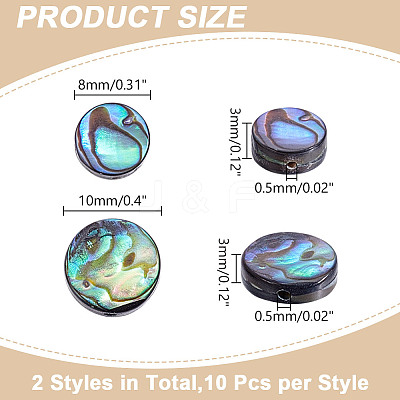 20Pcs 2 Styles Natural Abalone Shell/Paua Shell Beads Strands SSHEL-HY0001-10-1