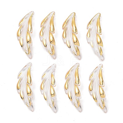 Transparent Acrylic Pendants TACR-D013-02-1