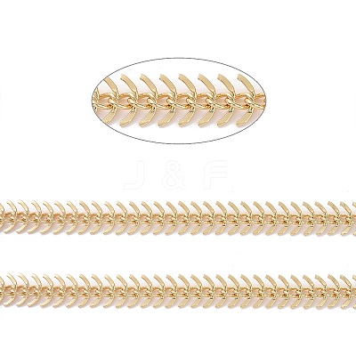 Brass Fishbone Chain LS-CHC-E027-01G-02-1