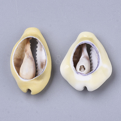 Natural Cowrie Shell Beads SSHEL-N034-28-1