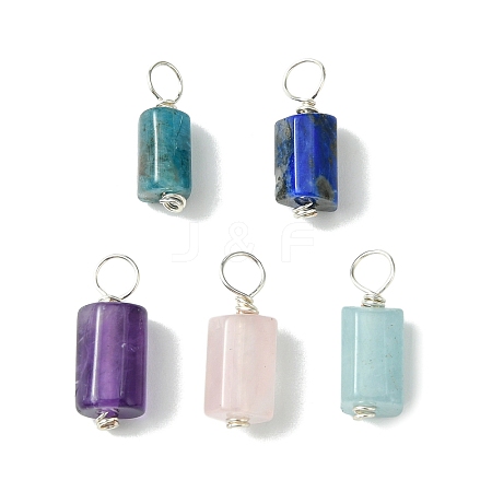 5Pcs Natural Mixed Gemstone Pendants PALLOY-JF03154-1