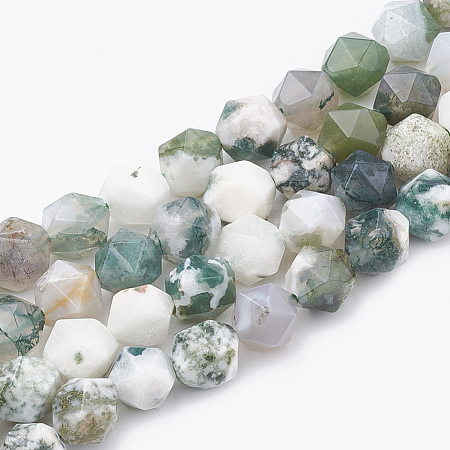 Natural Tree Agate Beads Strands G-S332-10mm-010-1