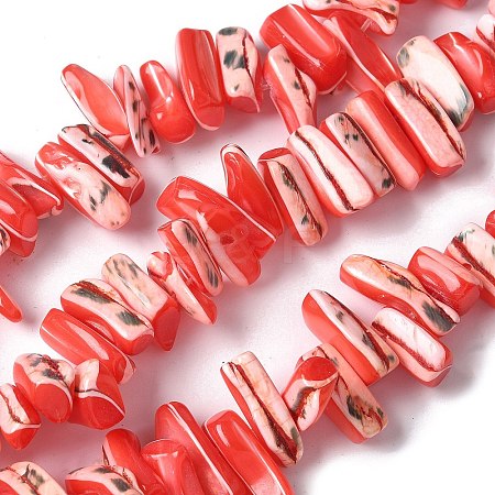 Dyed Natural Trochus Shell Beads Strands SSHEL-C013-09D-1