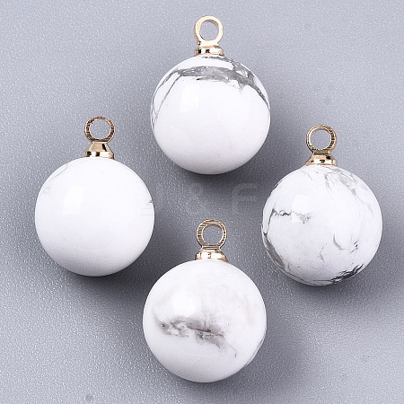 Natural Howlite Charms G-N332-024G-18-1