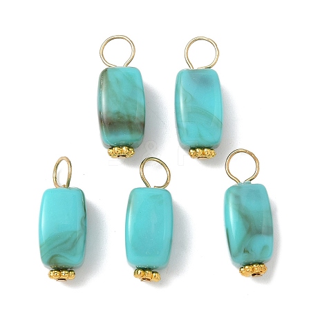 Opaque Acrylic Pendants PALLOY-JF04023-1