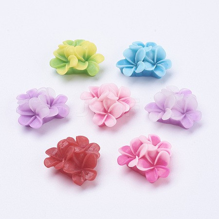Mixed Flatback Resin Flower Cabochons X-CRES-S240-M-1