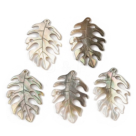 Natural Black Lip Shell Pendants SHEL-R100-07A-1