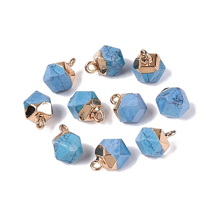 Dyed Synthetic Turquoise Pendants G-N359-18G-20-1