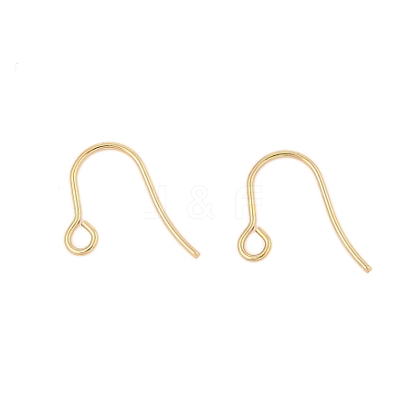 316 Surgical Stainless Steel Earring Hooks LS-STAS-A056-11G-B-1